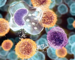 Diabet zaharat indus de infectii