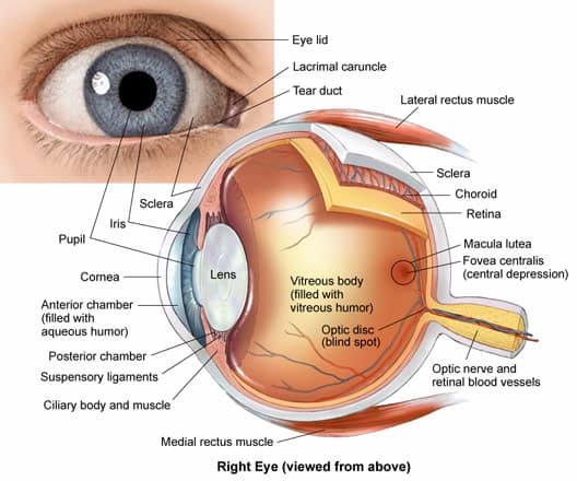 Clasificarea retinopatiei diabetice
