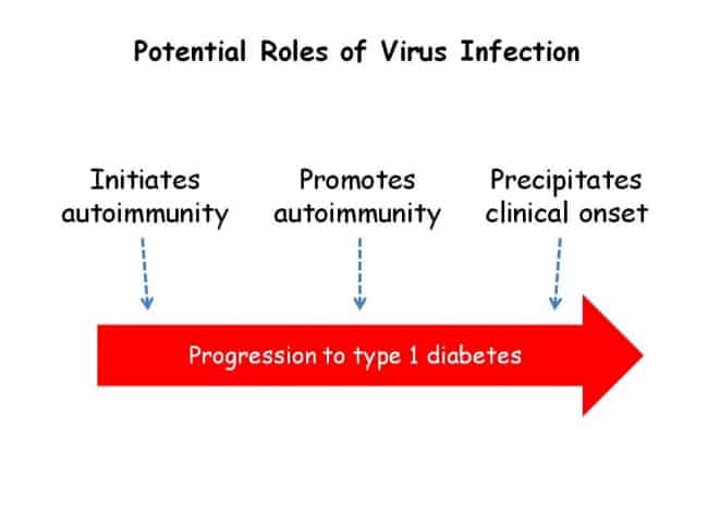 Virusurile implicate in diabetul zaharat tip 1