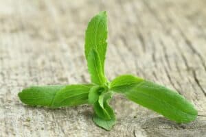 15210131   stevia rebaudiana plant on wooden background
