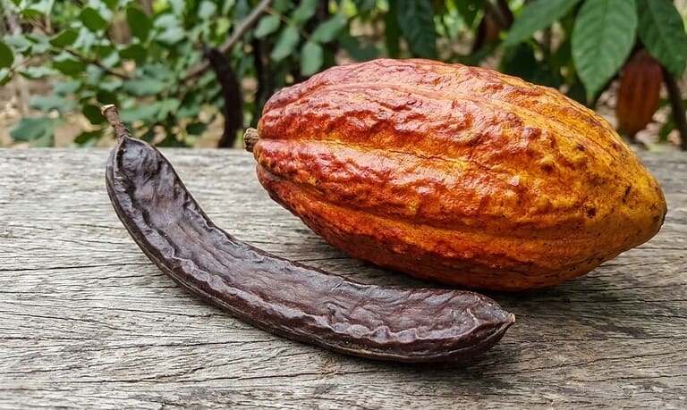 Roscove sau cacao – ce alegem dacă avem diabet?